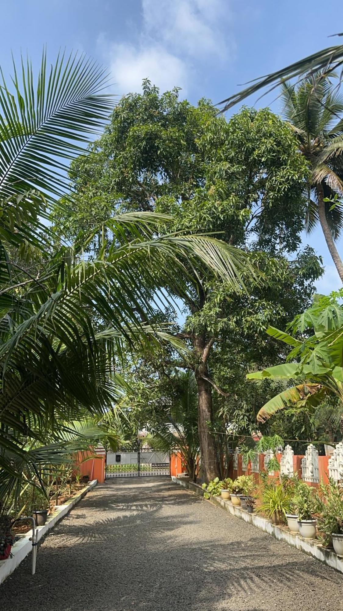 Prabhalayam Lejlighed Kottayam Eksteriør billede